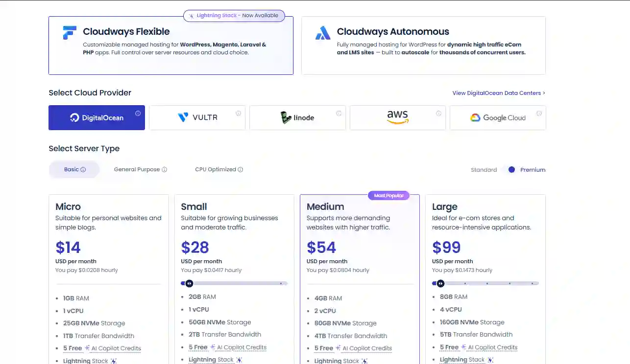 Planes de Cloudways: servidores VPS administrados para rendimiento empresarial